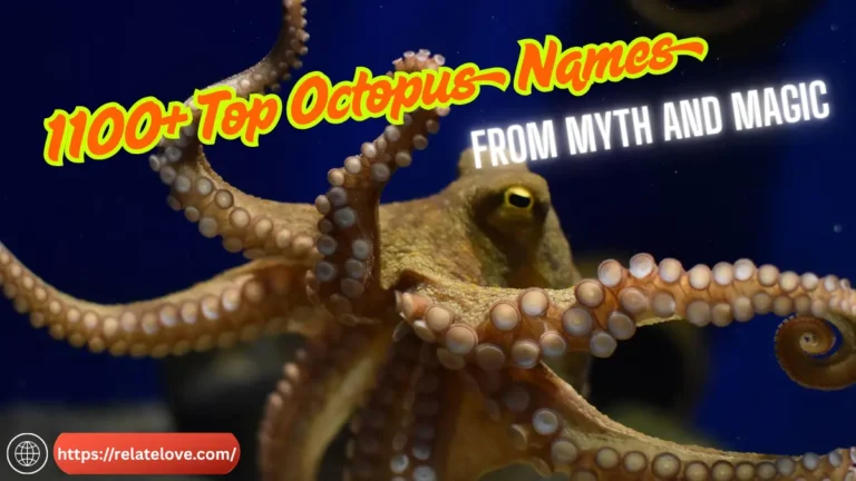 1100+ Top Octopus Names from Myth and Magic