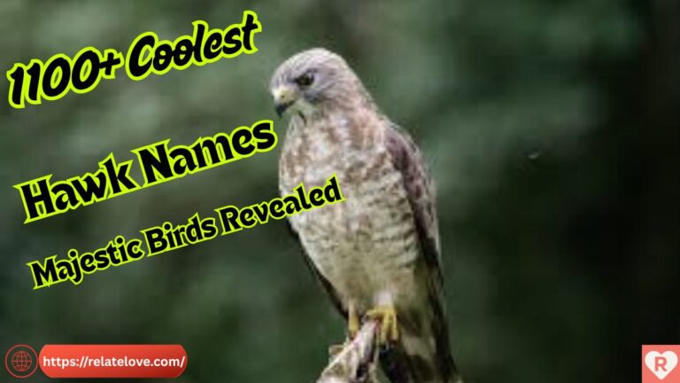 1100+ Coolest Hawk Names for Majestic Birds Revealed
