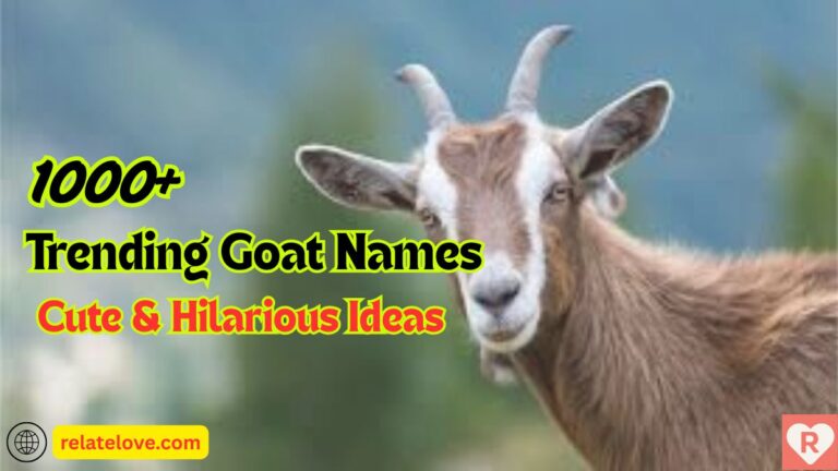1000+ Trending Goat Names: Cute & Hilarious Ideas