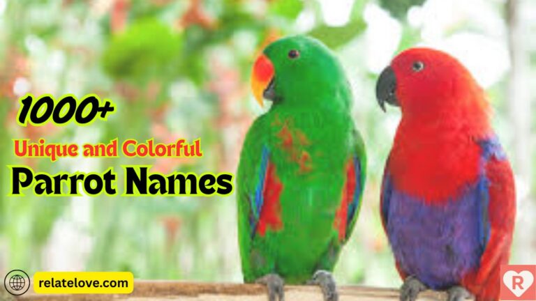 1000+ Unique and Colorful Parrot Names to Love