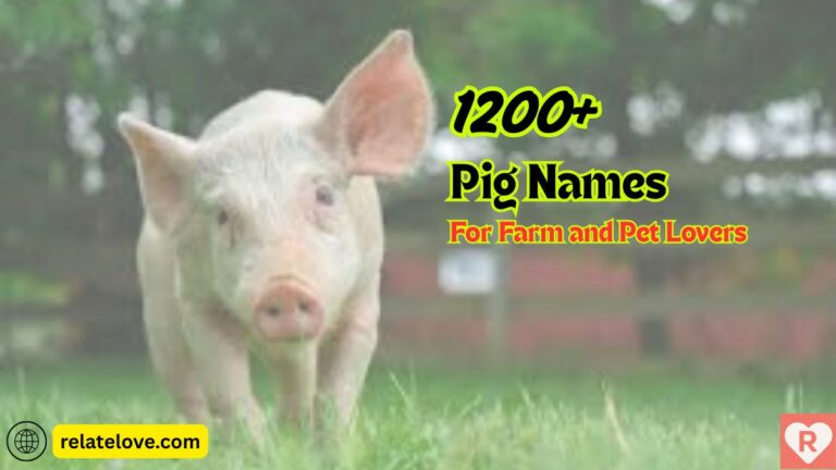 1000+ Catchy Pig Names For Farm and Pet Lovers