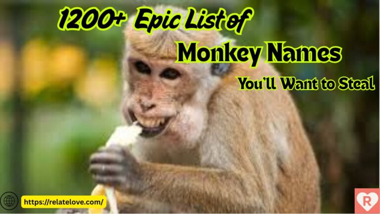 1200+ Epic List of Monkey Names You’ll Want to Steal