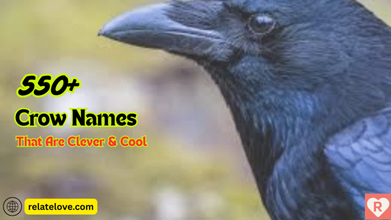 550+ Best Crow Names That Are Clever & Cool