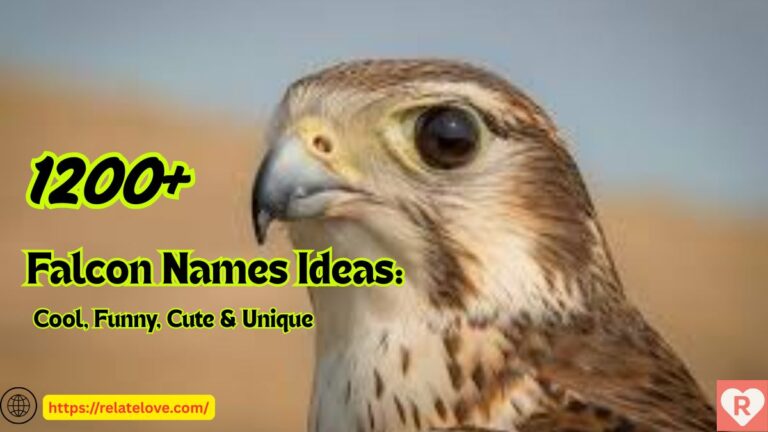 1200+ Falcon Names Ideas: Cool, Funny, Cute & Unique