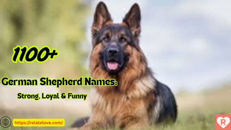 1100+ German Shepherd Names: Strong, Loyal & Funny