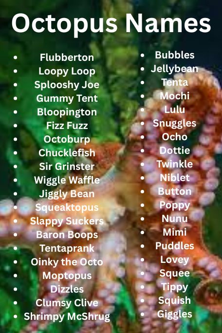 1100+ Top Octopus Names from Myth and Magic