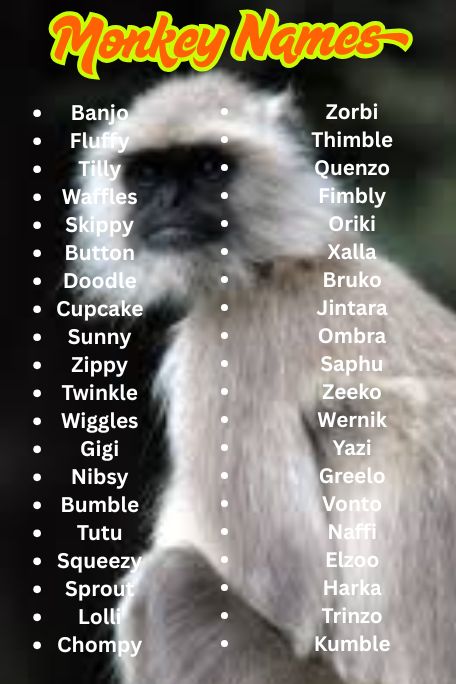 1200+ Epic List of Monkey Names You’ll Want to Steal