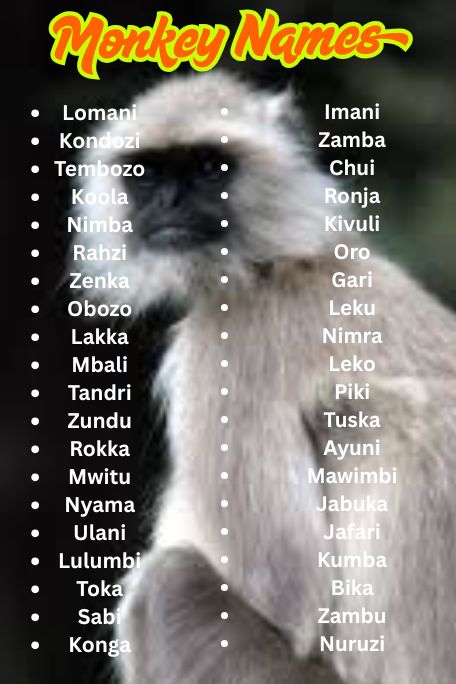 1200+ Epic List of Monkey Names You’ll Want to Steal