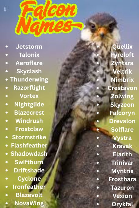 1200+ Falcon Names Ideas: Cool, Funny, Cute & Unique