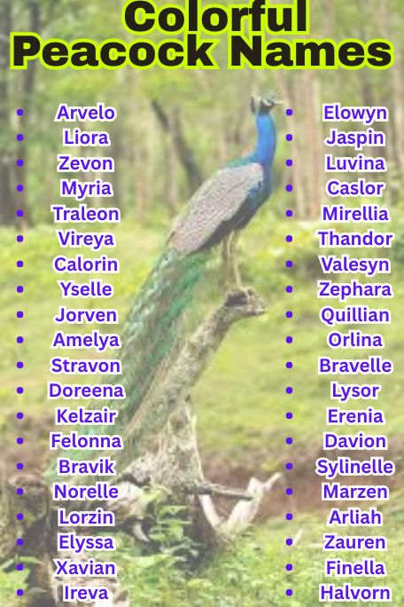 1000+ Exotic and Colorful Peacock Names Ideas 
