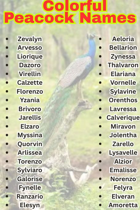 1000+ Exotic and Colorful Peacock Names Ideas 
