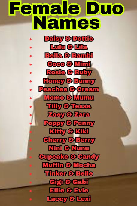1100+ Funny and Catchy Female Duo Names Ideas 