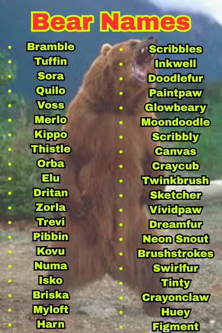 1000+ Best Bear Names for Pets and Toys