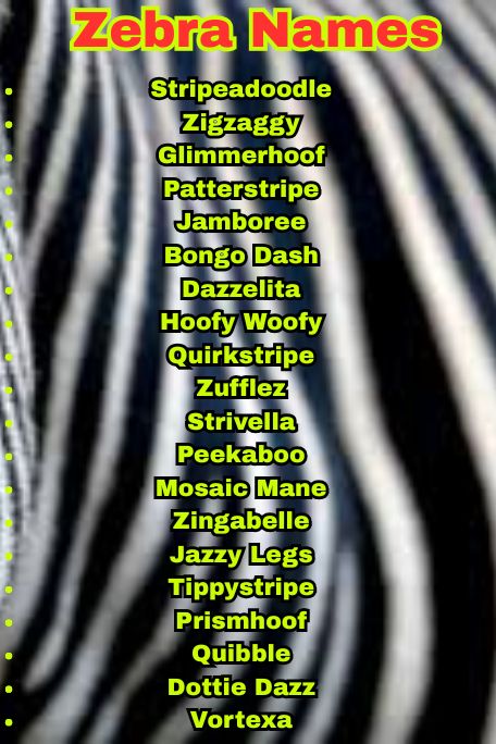 1000+ Unique Zebra Names Ideas You’ll Love to Use