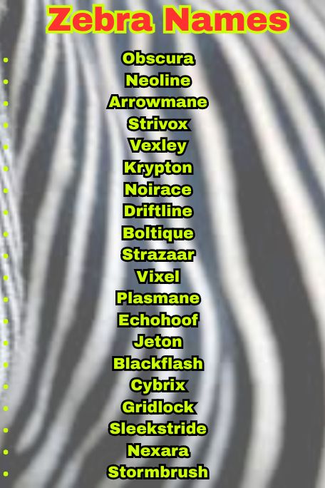 1000+ Unique Zebra Names Ideas You’ll Love to Use