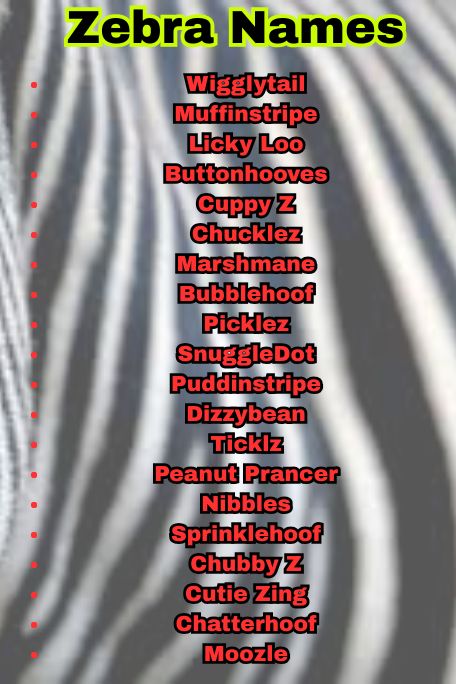 1000+ Unique Zebra Names Ideas You’ll Love to Use