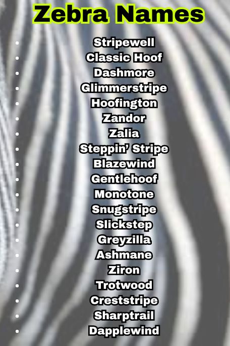 1000+ Unique Zebra Names Ideas You’ll Love to Use