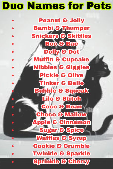 1000+ Cute and Funny Duo Names for Pets You'll Love