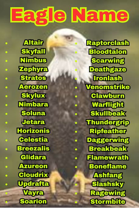 1000+ Amazing Eagle Names for Every Vibe and Type 