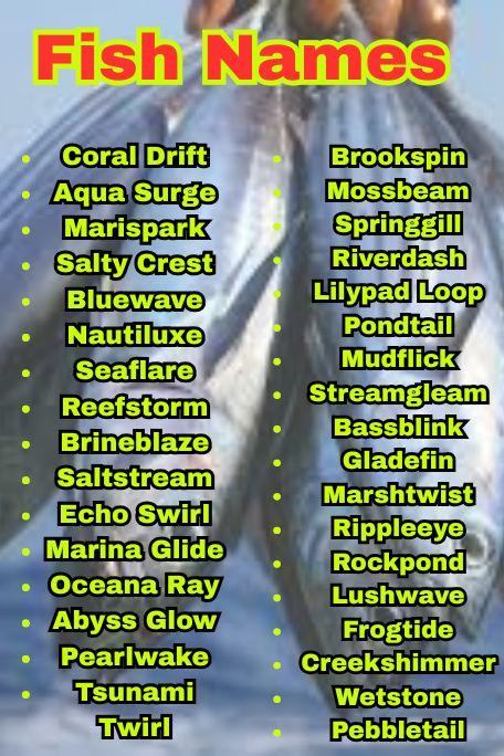 1200+ Creative Fish Names for Betta, Goldfish & More 