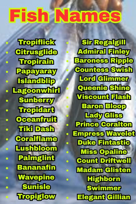 1200+ Creative Fish Names for Betta, Goldfish & More 