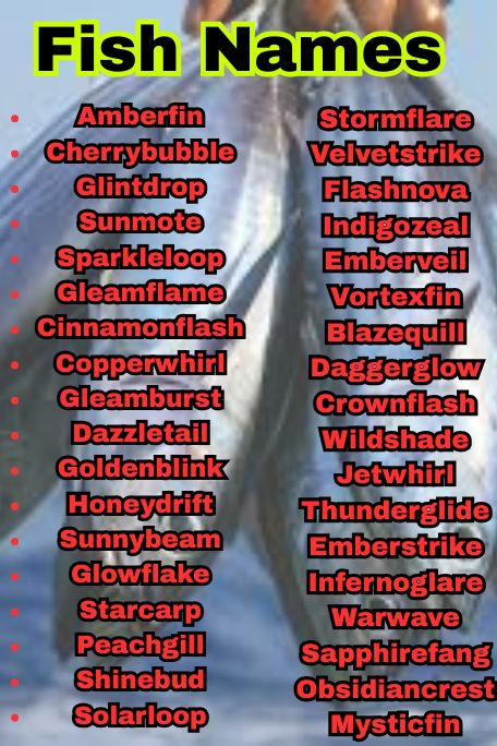1200+ Creative Fish Names for Betta, Goldfish & More 