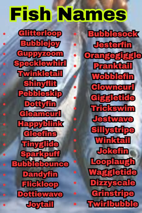 1200+ Creative Fish Names for Betta, Goldfish & More 