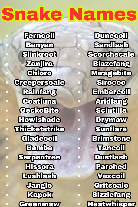 1100+ Explore Funny Snake Names Ideas That Pop