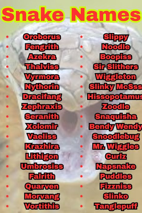 1100+ Explore Funny Snake Names Ideas That Pop