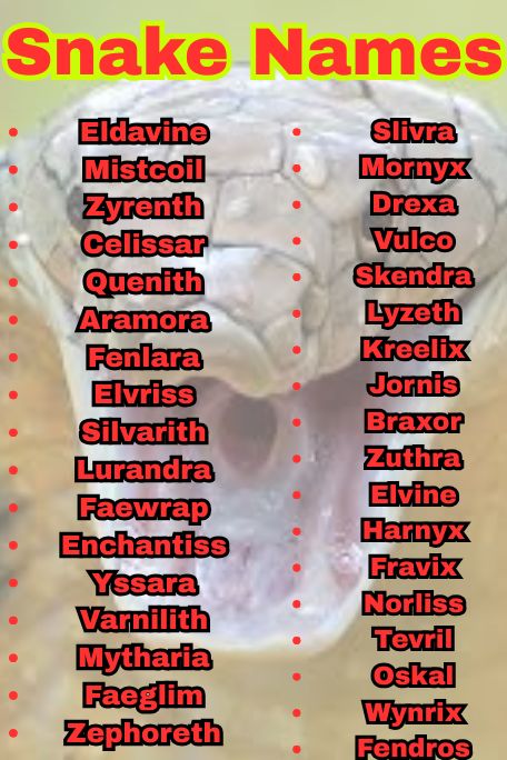 1100+ Explore Funny Snake Names Ideas That Pop