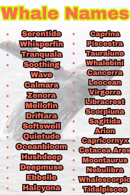 1200+ Explore Unique Whale Names for All Types