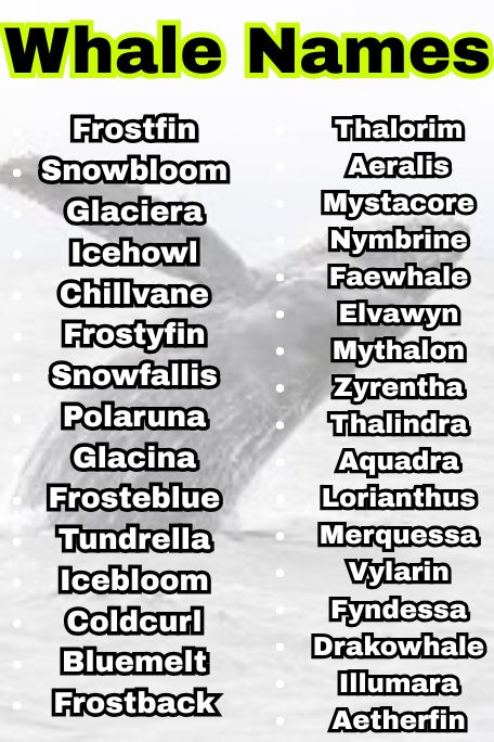 1200+ Explore Unique Whale Names for All Types