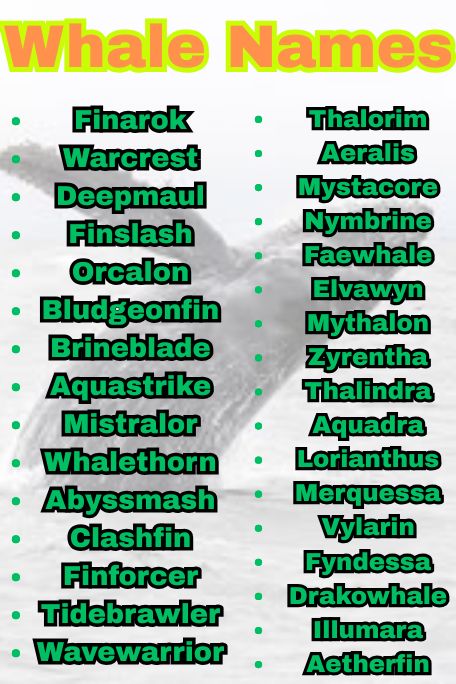 1200+ Explore Unique Whale Names for All Types
