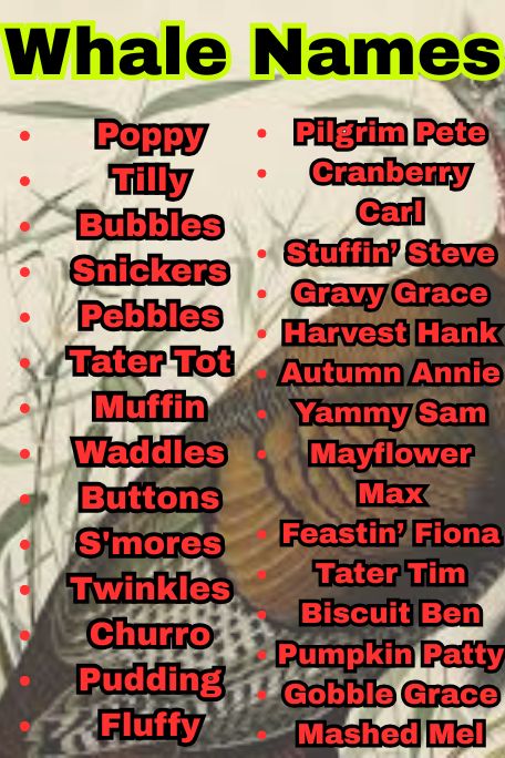 1200+ Funny & Cute Turkey Names for Every Bird Lover 