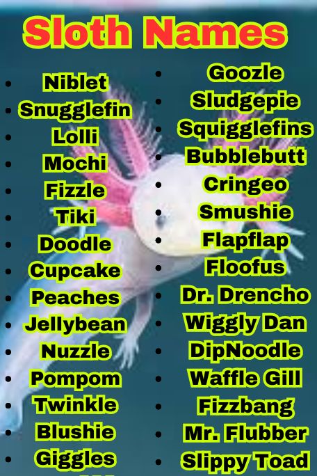 1100+ Fantasy Axolotl Names with Magic Vibes 
