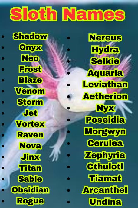 1100+ Fantasy Axolotl Names with Magic Vibes 