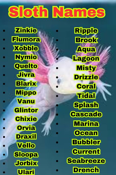 1100+ Fantasy Axolotl Names with Magic Vibes 