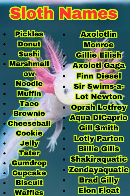 1100+ Fantasy Axolotl Names with Magic Vibes 