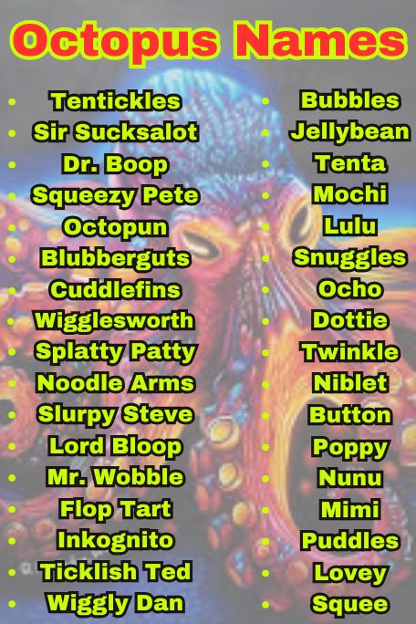 1100+ Top Octopus Names from Myth and Magic 