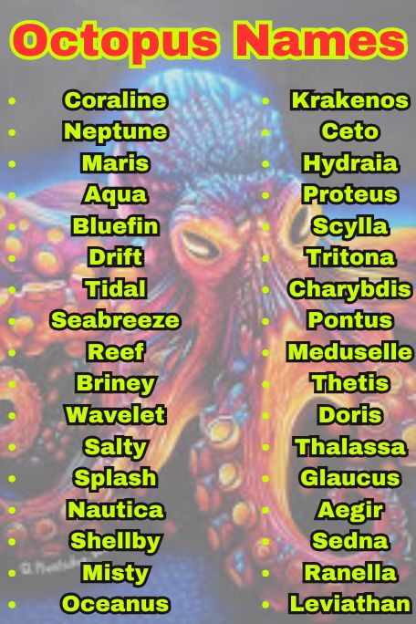 1100+ Top Octopus Names from Myth and Magic 