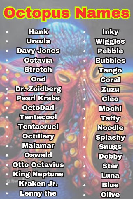1100+ Top Octopus Names from Myth and Magic 