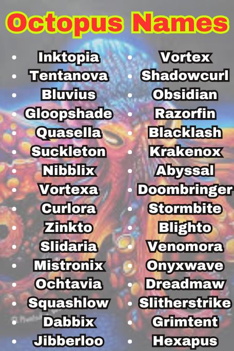 1100+ Top Octopus Names from Myth and Magic 
