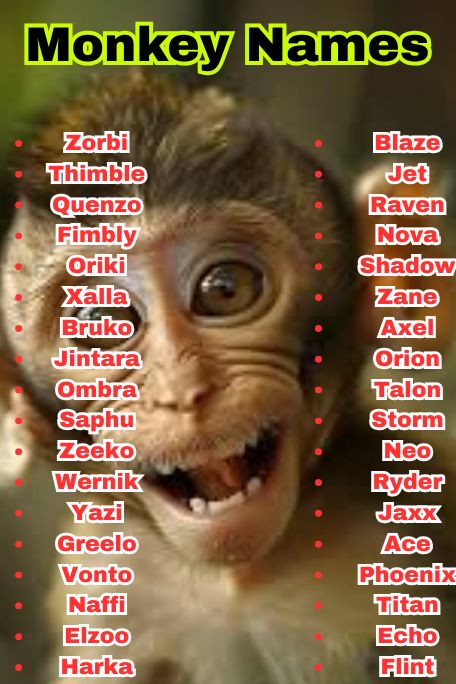 1200+ Epic List of Monkey Names You’ll Want to Steal 