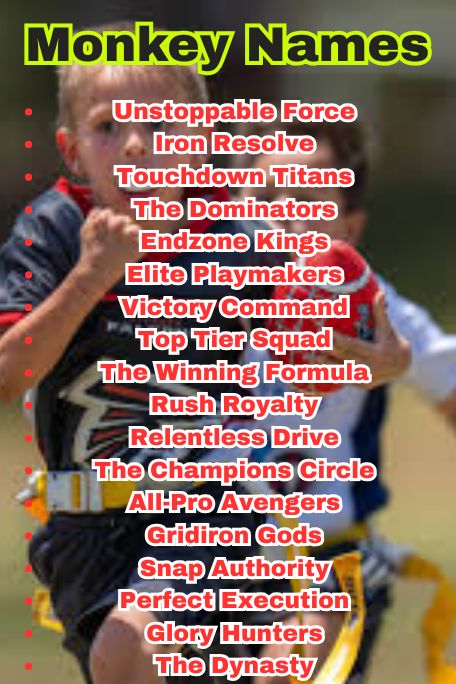 1200+ Coed Flag Football Team Names to Love