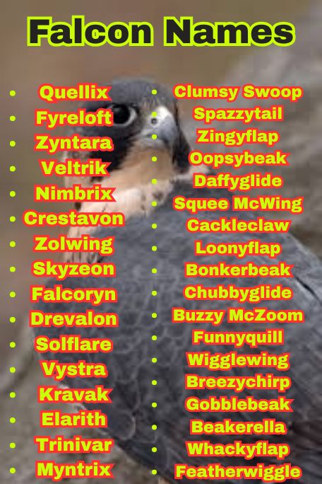 1200+ Falcon Names Ideas: Cool, Funny, Cute & Unique