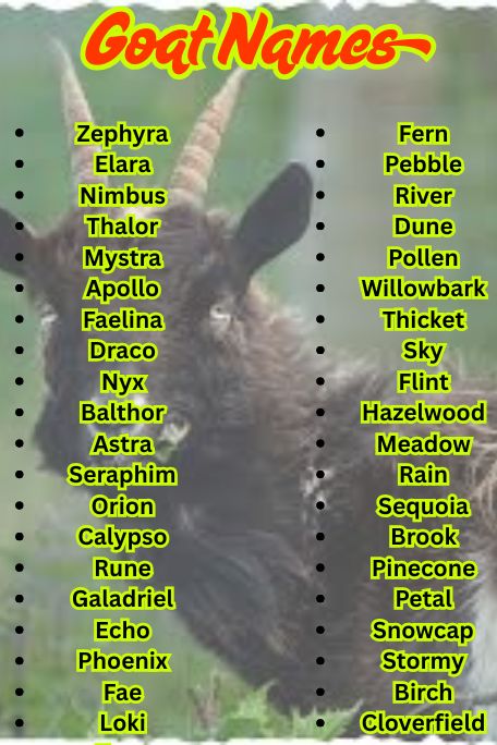 1000+ Trending Goat Names: Cute & Hilarious Ideas