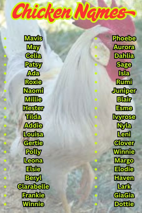 1000+ Catchy Chicken Names Ideas for Your Flock 