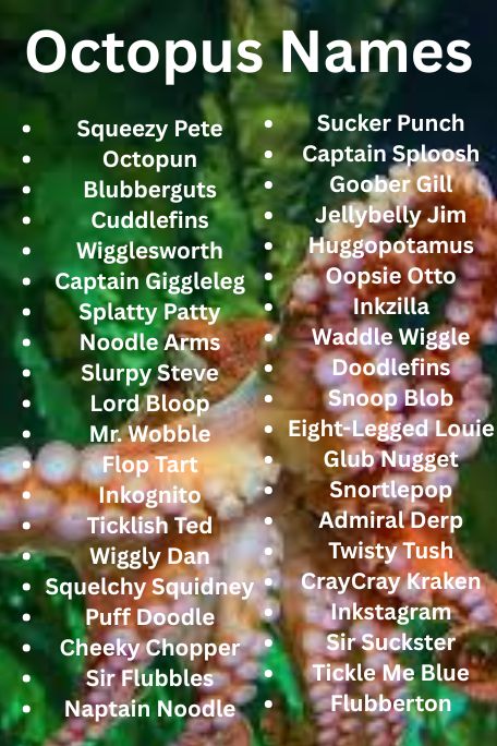 1100+ Top Octopus Names from Myth and Magic