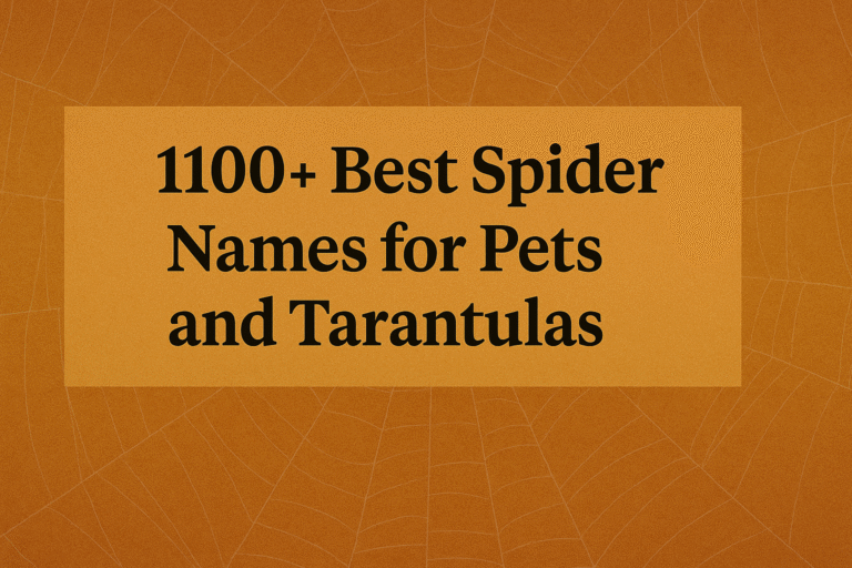 1100+ Best Spider Names for Pets and Tarantulas 2025