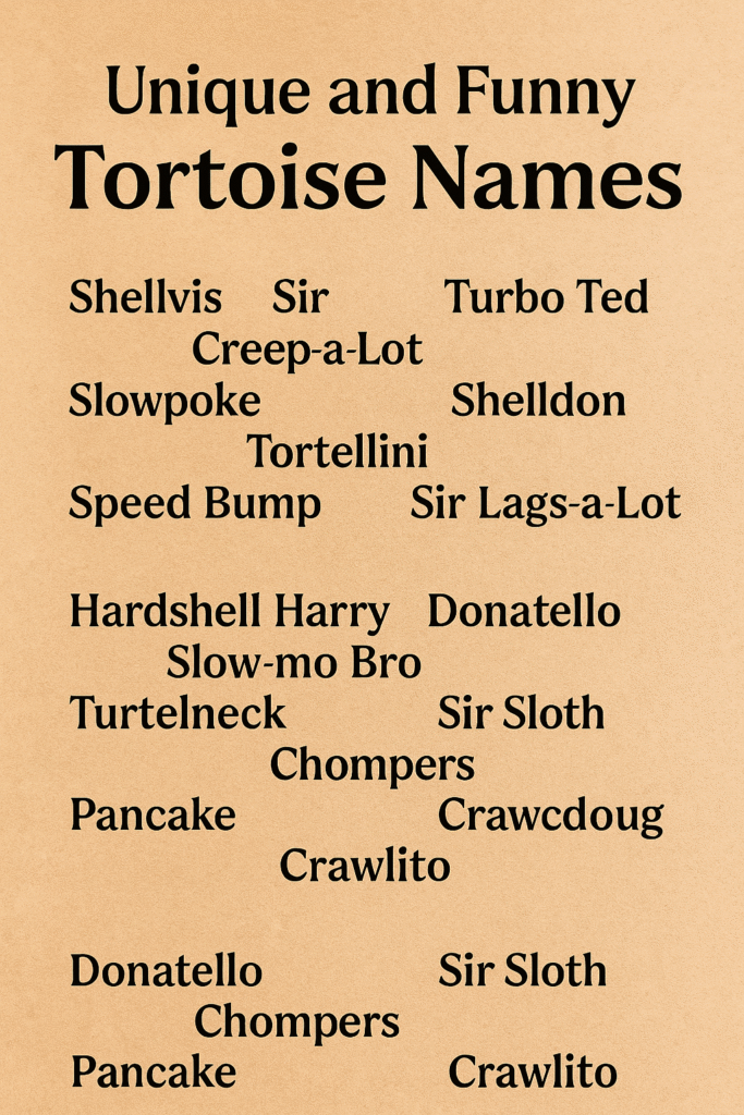 1200+ Adorable and Funny Tortoise Names List